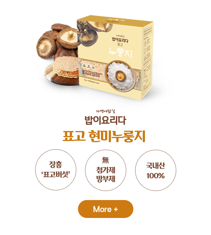 표고 BOX